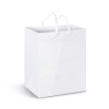 Full Colour Medium Paper Carry Bags